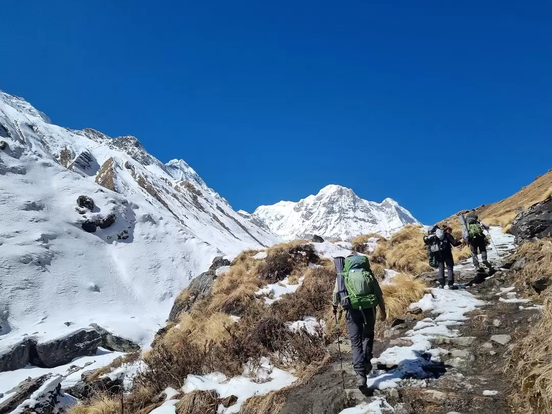 Group of trekkers ascending a steep trail at Annapurna Base Camp
