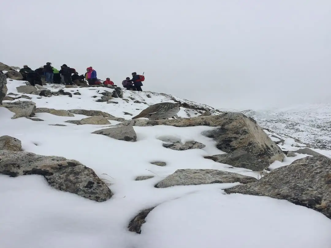 A group of trekkers pausing for rest during a steep ascent, emphasizing the importance of pacing and acclimatization on the Everest Base Camp trek.