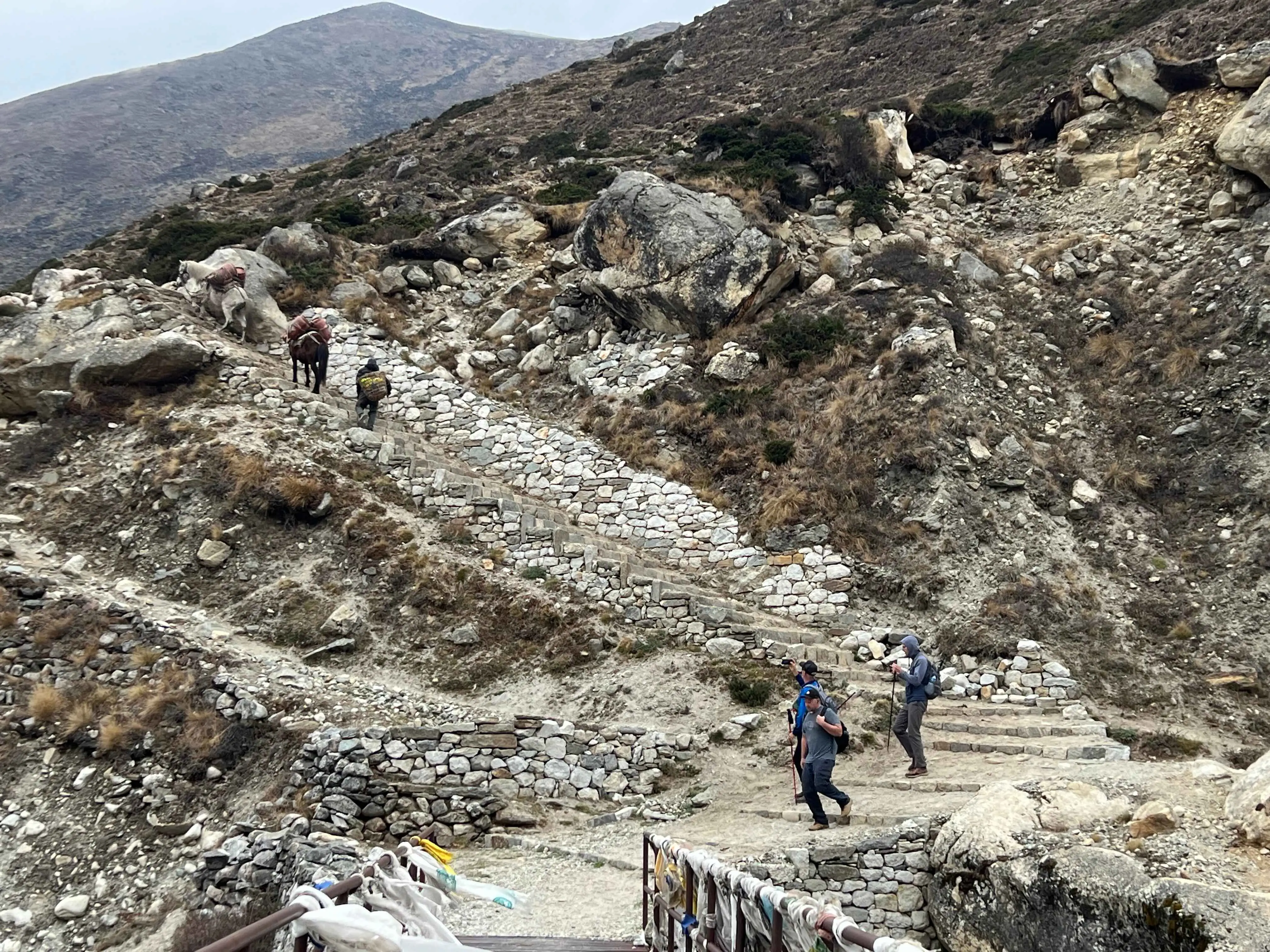 Trek to Everest Base Camp in May